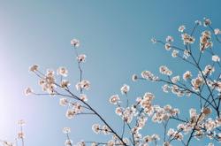 教育成长故事怎么写?掌握这些技巧轻松写出动人故事