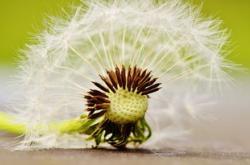 关于教育成长的句子:点亮人生旅程的智慧箴言,助你轻松实现持续成长与自我超越