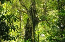 教育成长树百家号运营指南:从用户定位到内容创新,轻松打造高互动教育自媒体