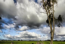 上海教育新闻网,推动教育现代化的先锋力量