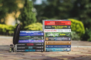 哪个城市的教育质量好?2024最新城市教育质量排名与选择指南 哪个城市的教育质量好?2024最新城市教育质量排名与选择指南