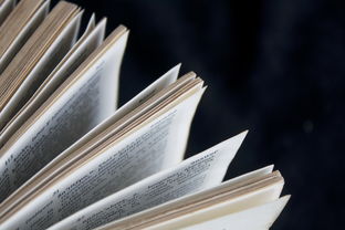 关于教育成长的议论文写作指南:轻松掌握写作技巧,高效提升文章质量 关于教育成长的议论文写作指南:轻松掌握写作技巧,高效提升文章质量